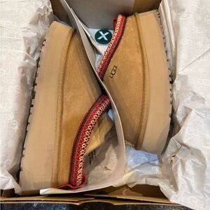 Brand New in Box Taz Ugg platform mules slippers